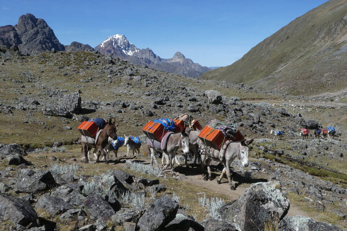 Zoom: Trekkingreise Peru - Gepäcktransport