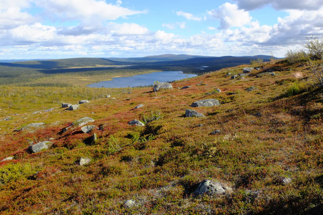 Zoom: Wanderreise Schwedisch Lappland