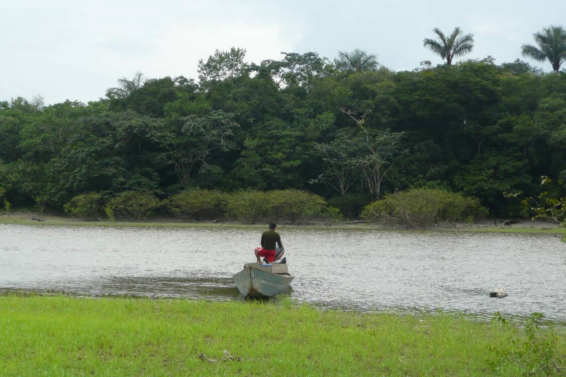 Zoom:   Besuch des Amazonas