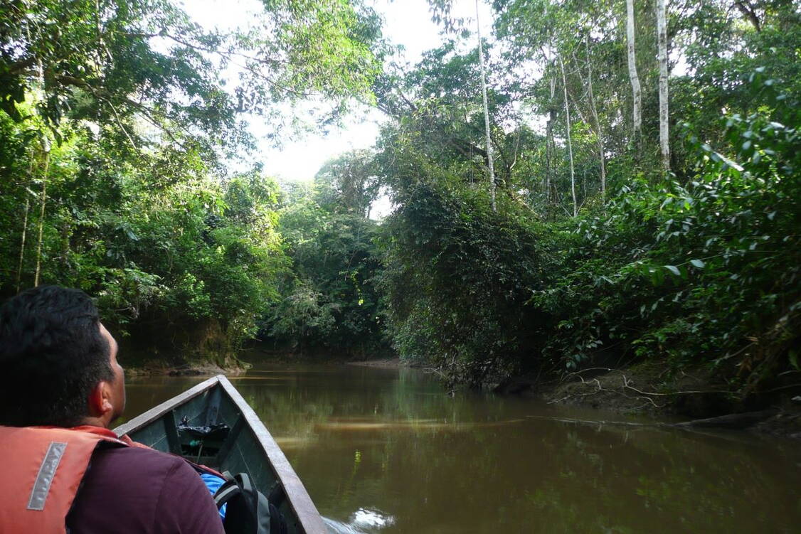 Zoom:  Besuch des Amazonas