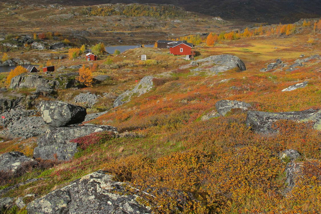 Zoom: Wanderreise Schwedisch Lappland