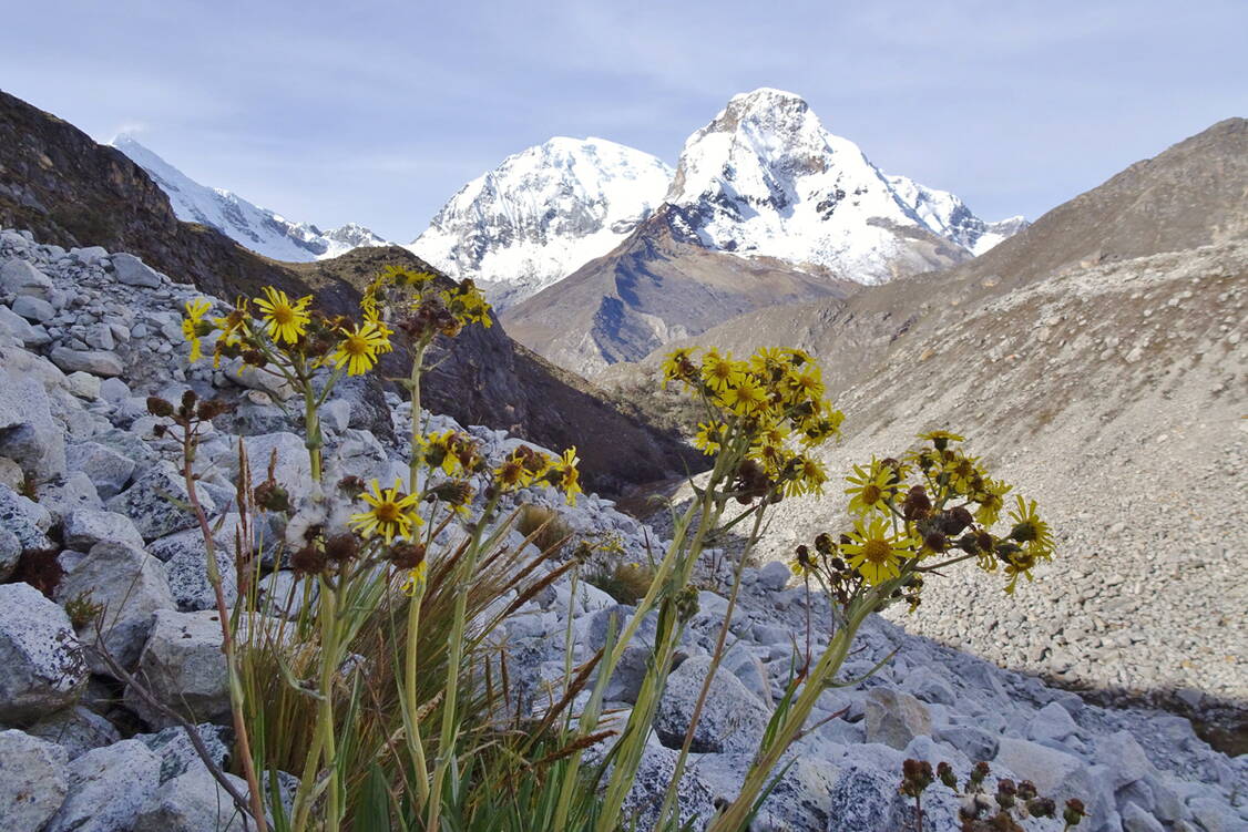 Zoom: Trekkingreise Peru - Ausblicke