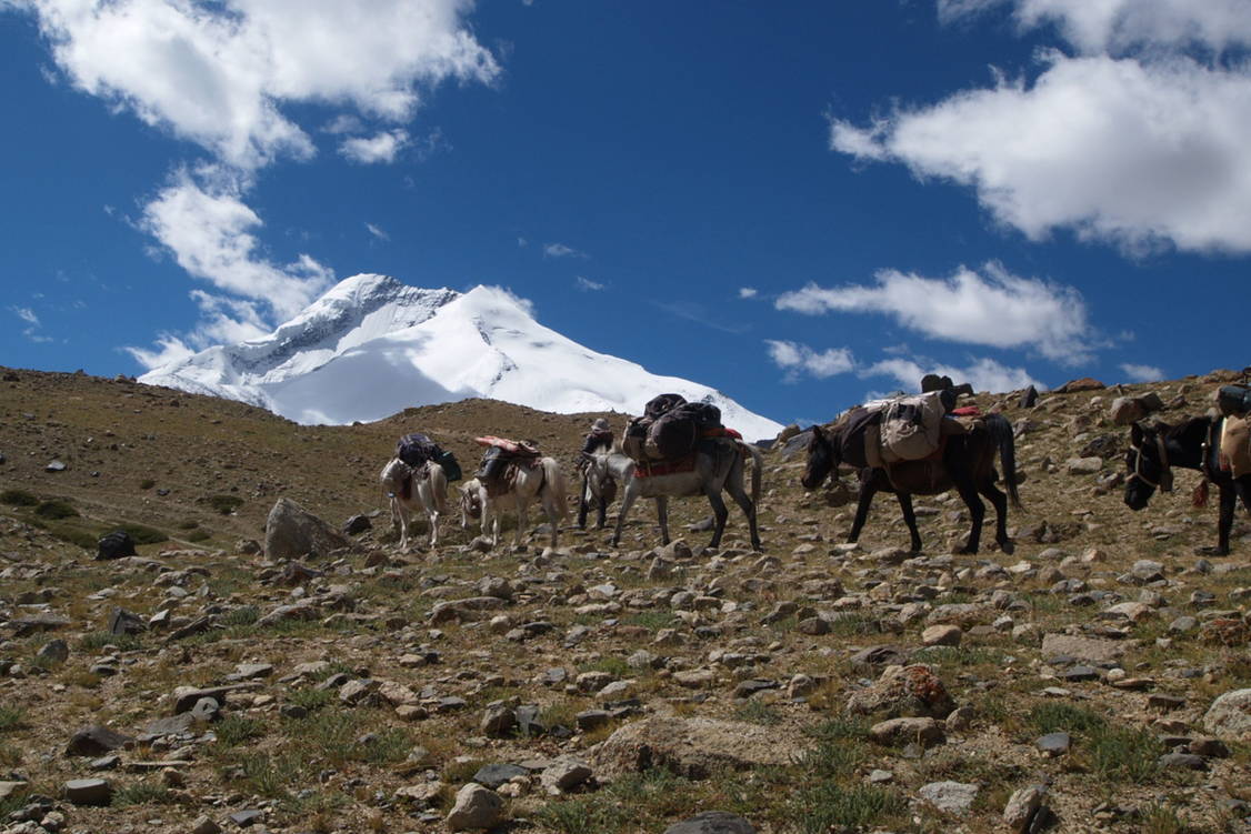 Zoom: Ladakh Markha Trekkingreise