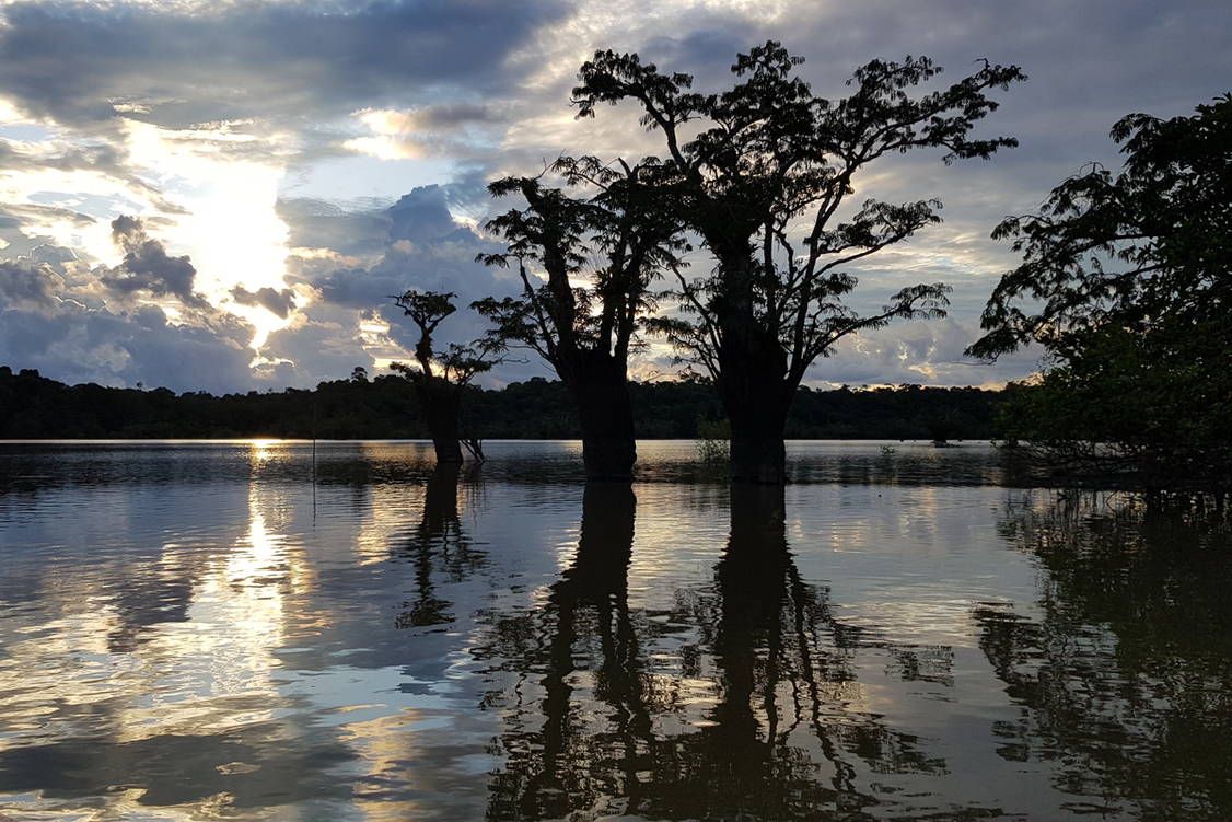 Zoom:  T Besuch des Amazonasn