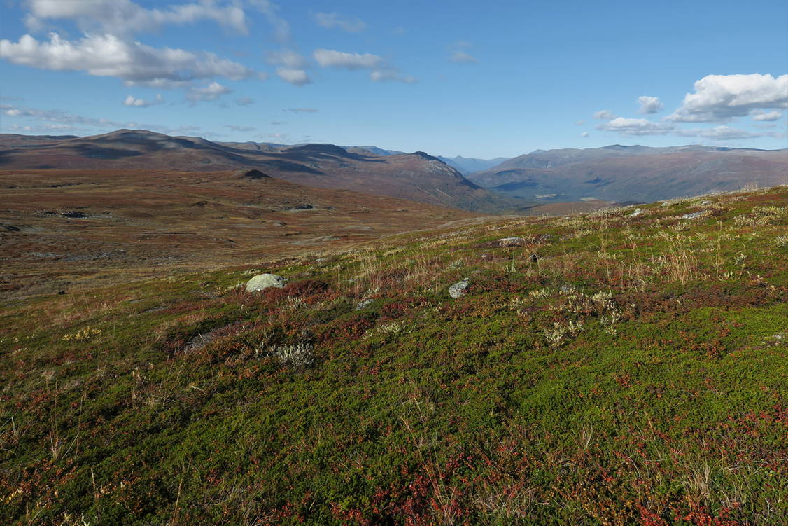 Zoom: Wanderreise Norwegisch Lappland