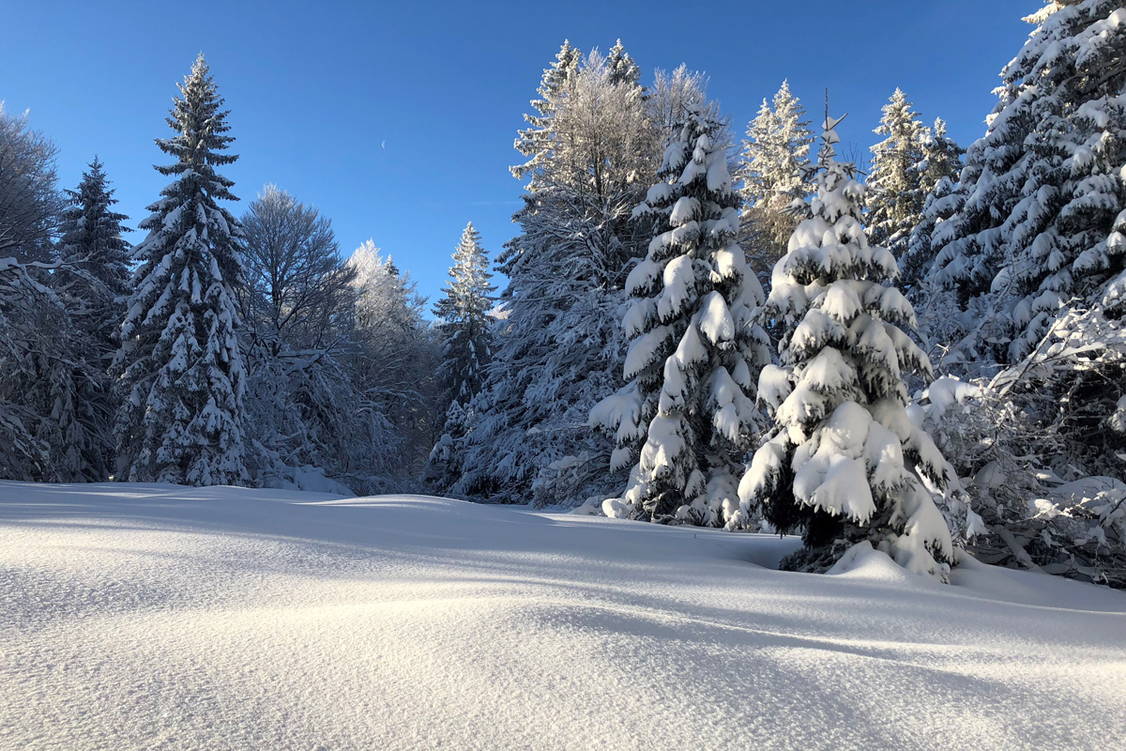 Zoom: Schneeschuhtouren Jura Haute Route II