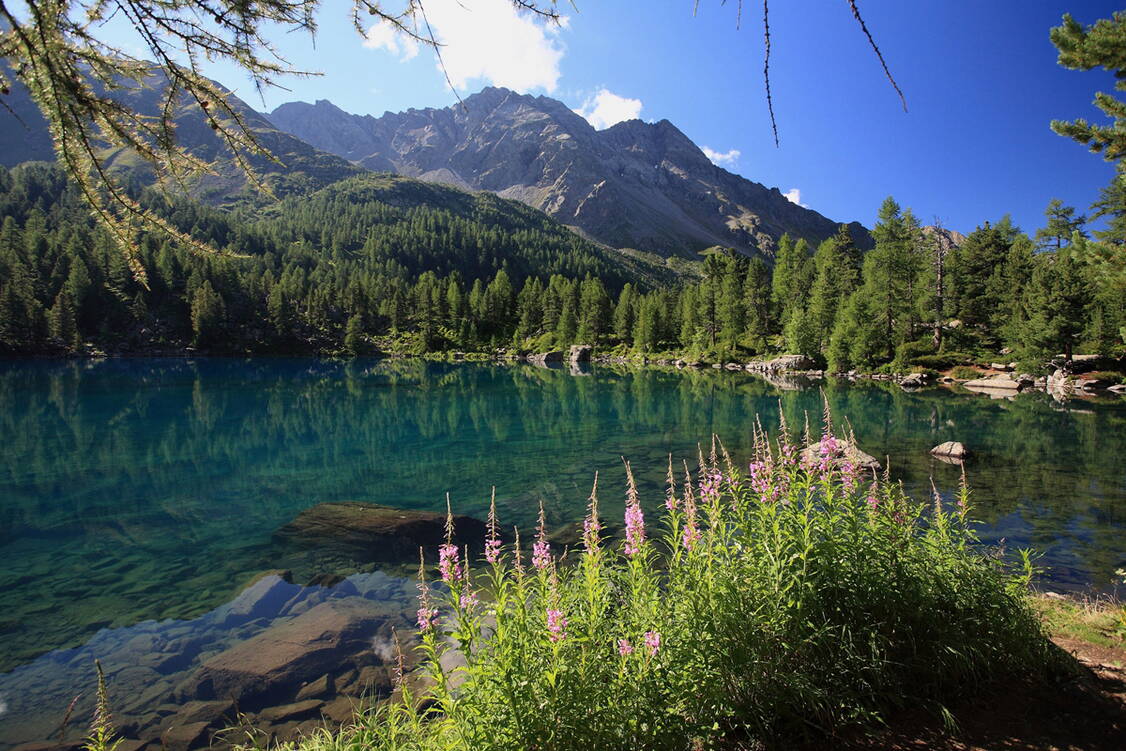 Zoom: panorama_weitwanderung_bernina_7.jpg