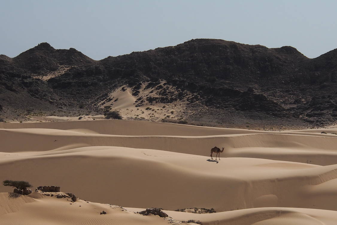 Zoom: Oman Trekkingreise