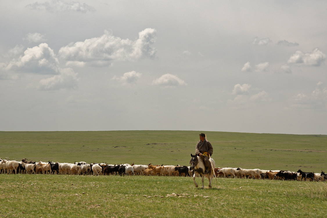 Zoom: Mongolei Trekkingreise