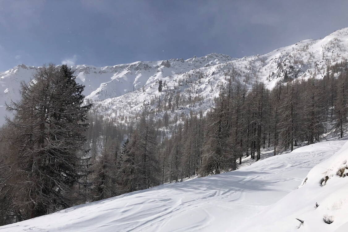 Zoom: Schneeschuh Panorama Woche Val Müstair