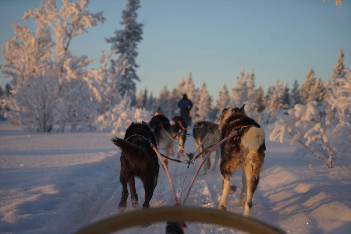 Zoom: Schneeschuhtouren Finnisch Lappland Pallas Tunturi Nationalpark