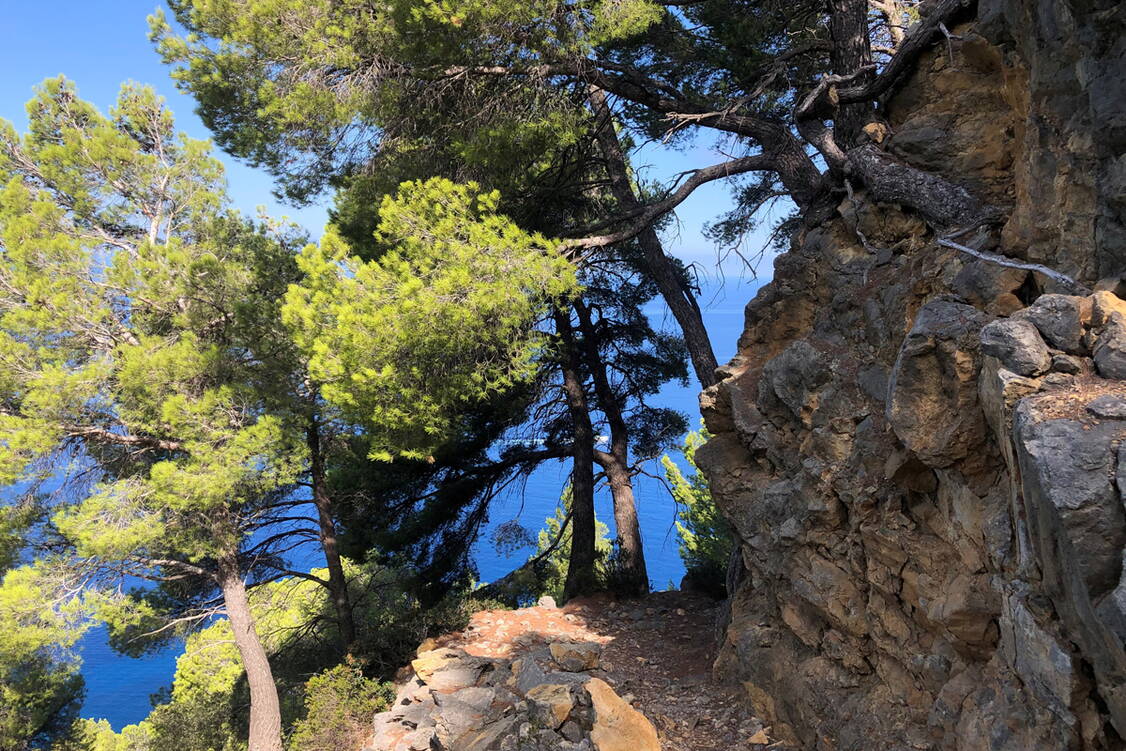 Zoom: Mallorca Wanderreise Wanderweg