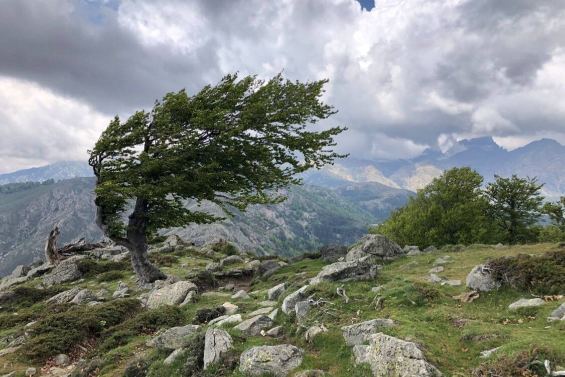 Zoom: Korsika Wanderreise anspruchsvolle Touren