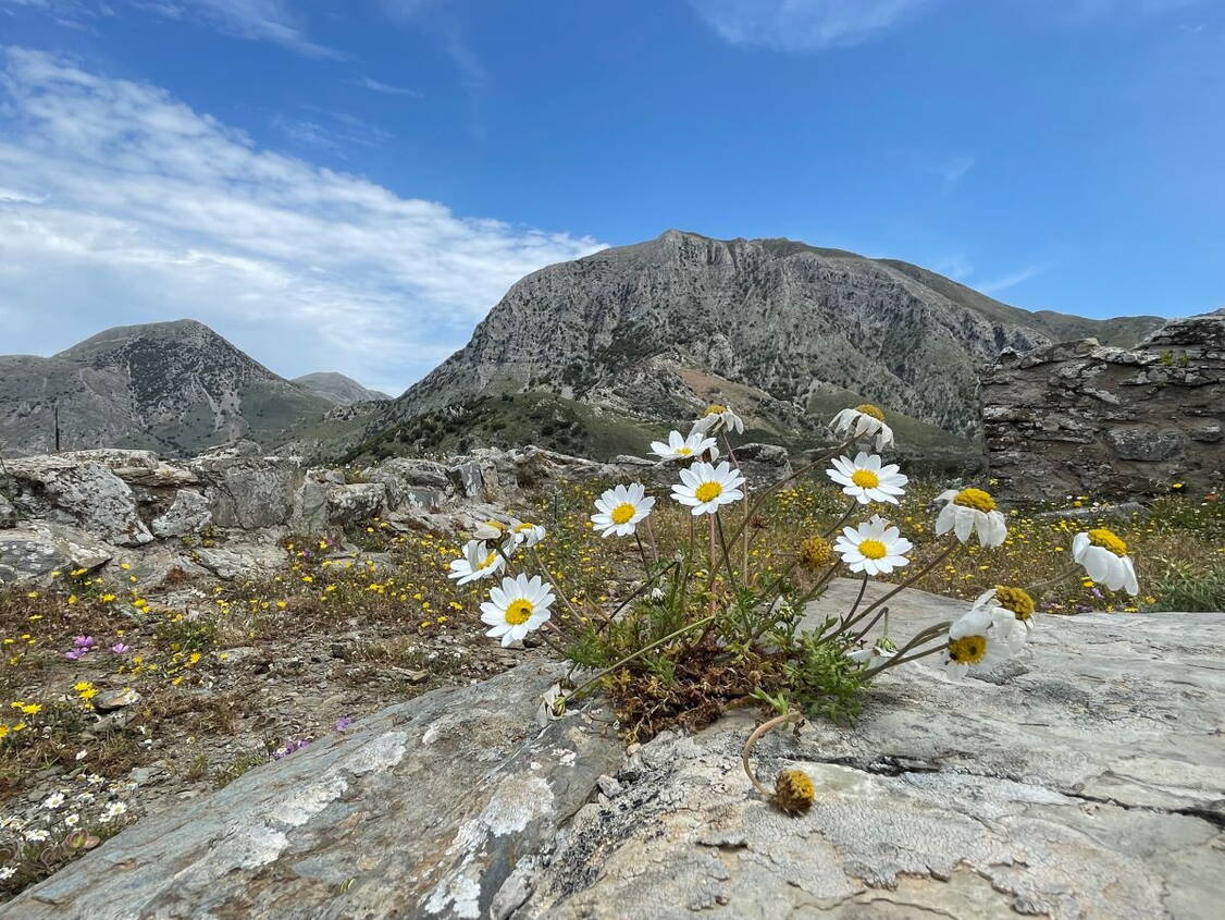 Zoom: Kreta KulturWanderreise