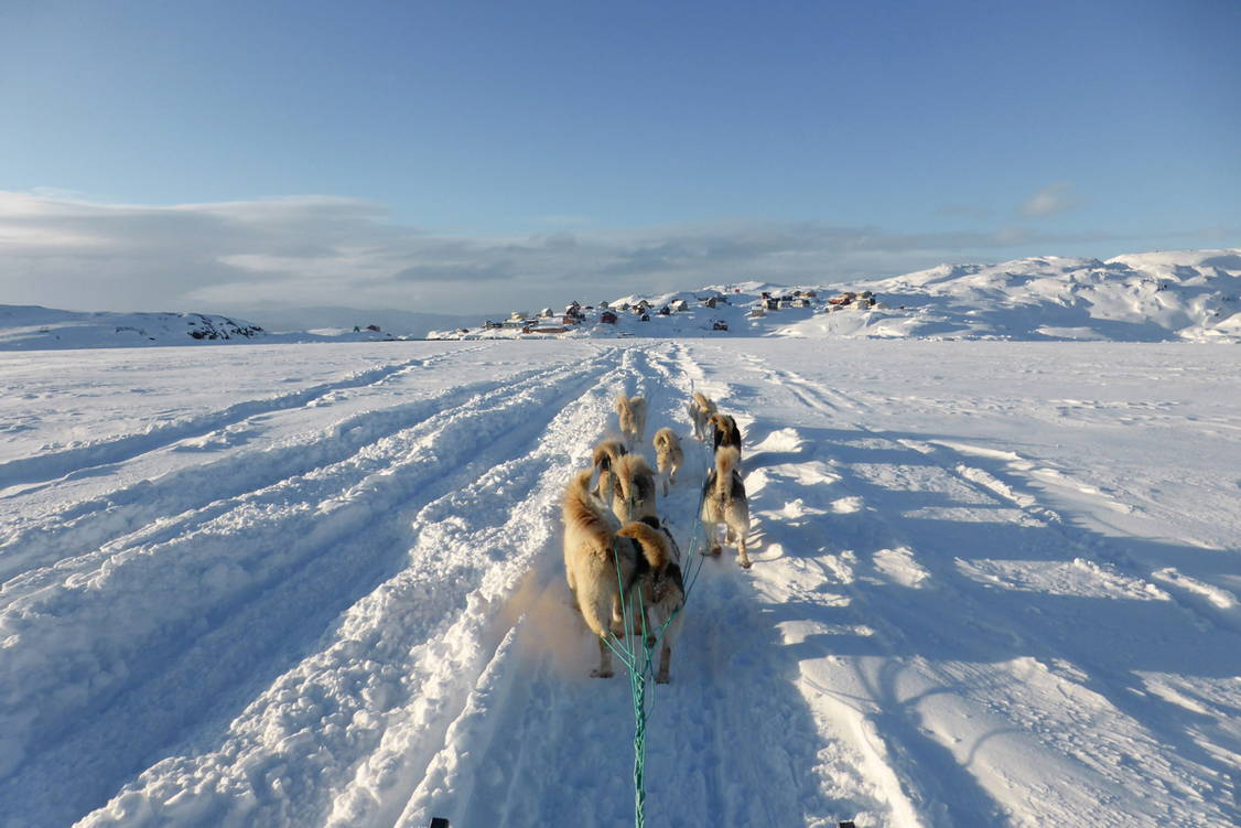 Zoom: Schneeschuhtouren Grönland