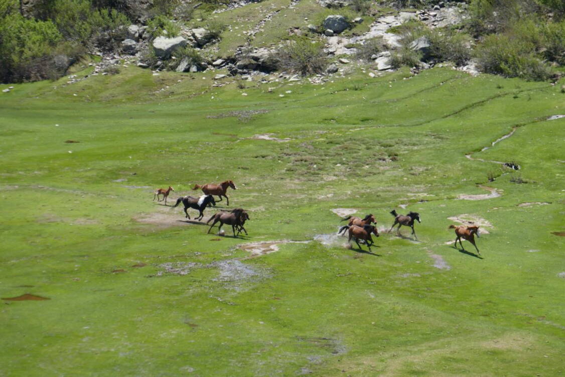 Zoom: Korsika Wanderreise anspruchsvolle Touren