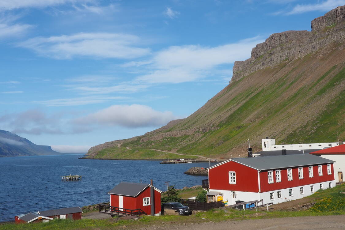 Zoom: Island Wanderreise Westfjorde