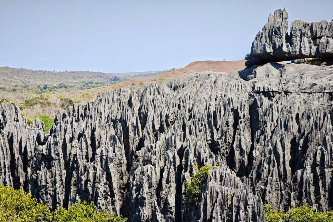 Zoom: Wanderreise Madagaskar