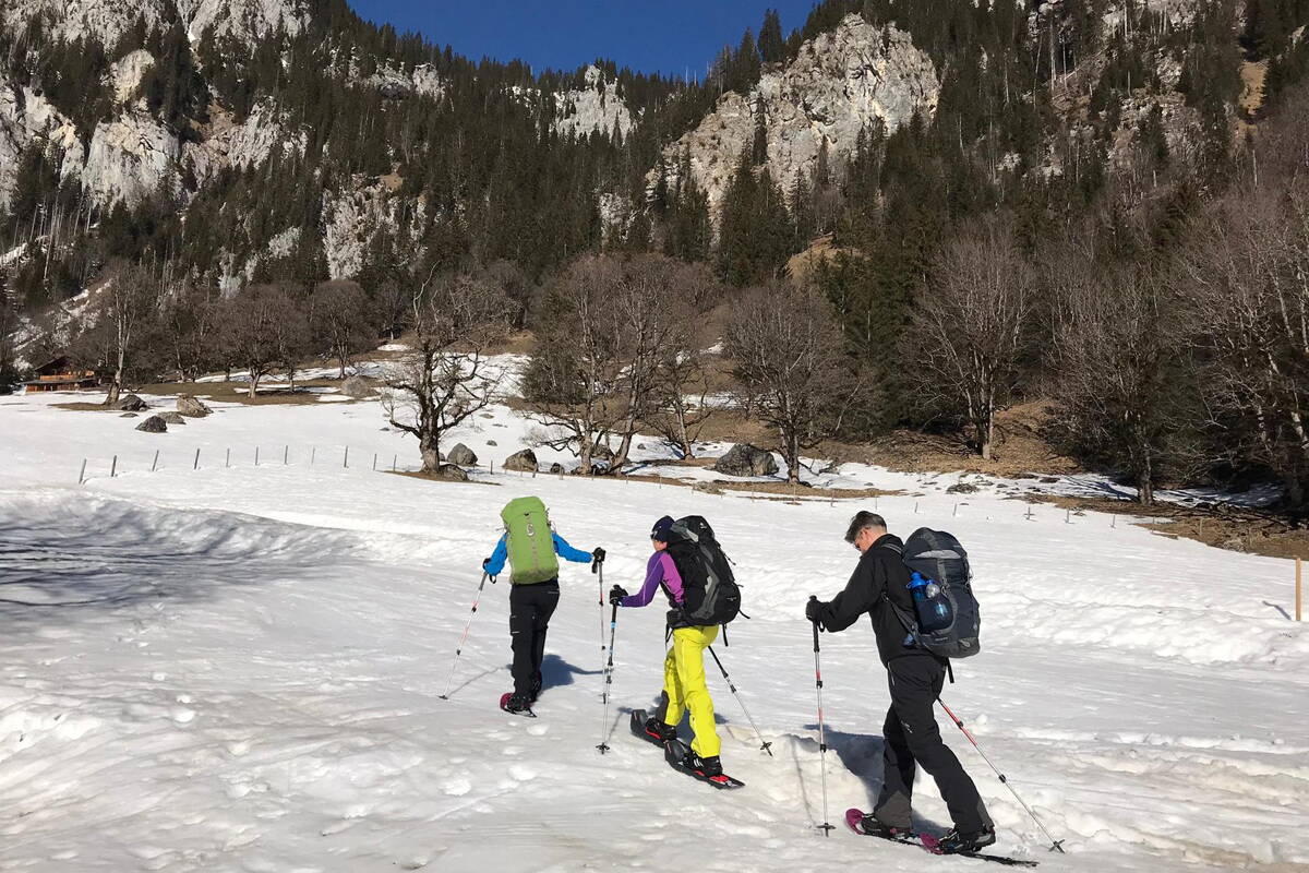 Büro-Team von berg-welt auf Schneeschuhen im Diemtigtal