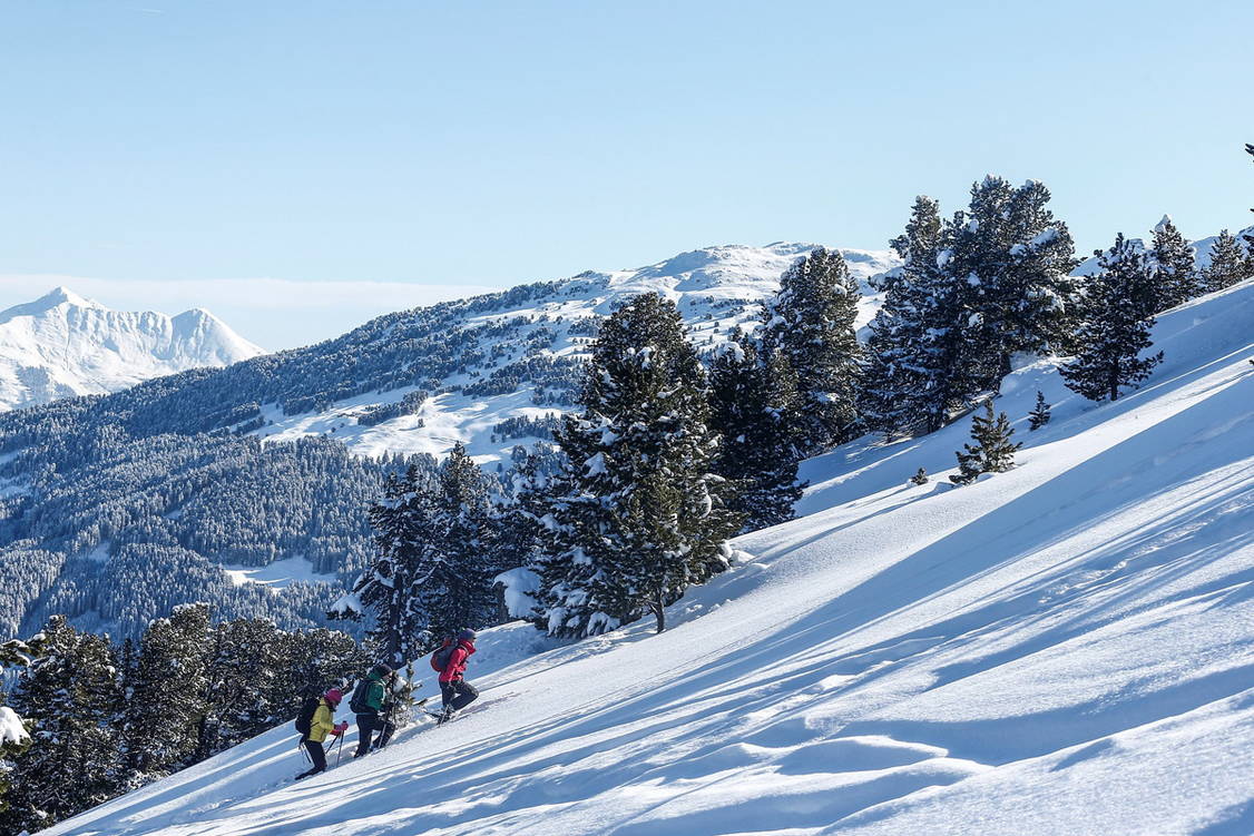 Zoom: Schneeschuhtouren Tirol