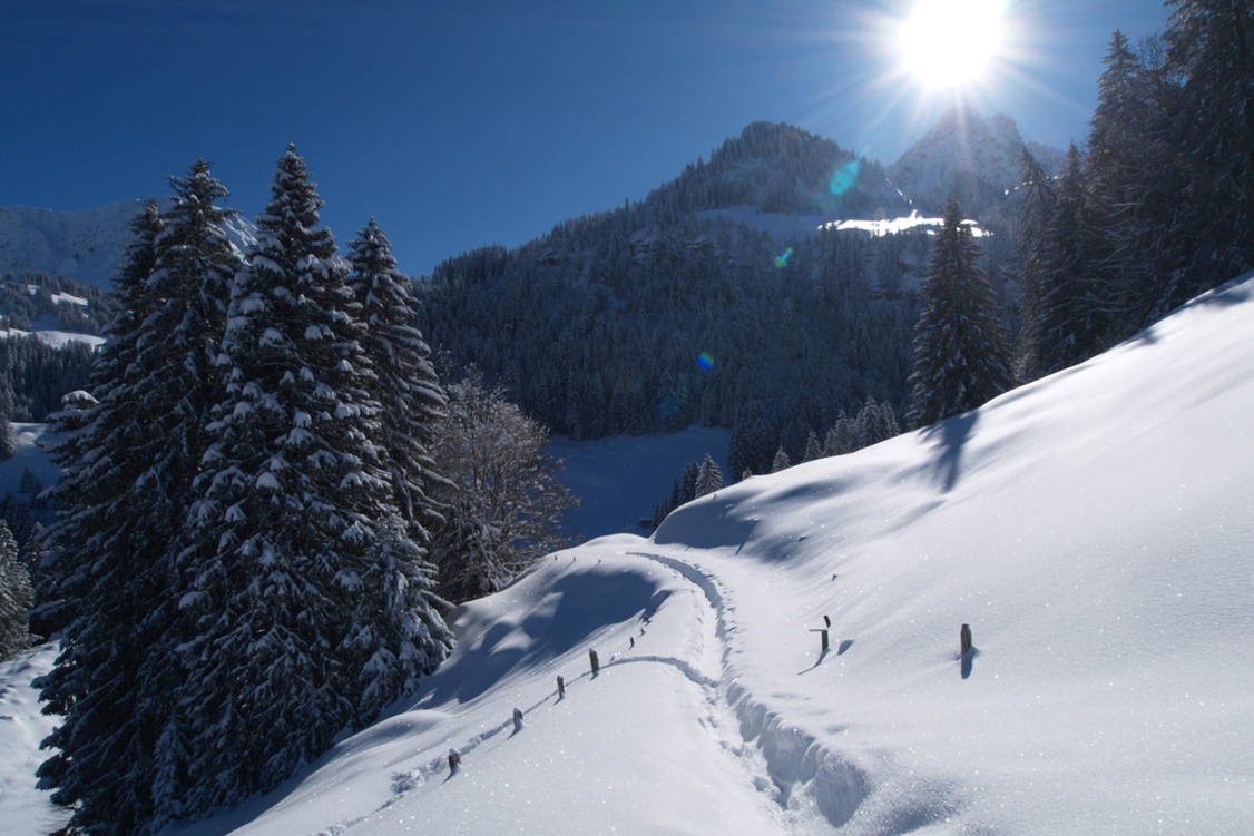 Zoom: Schneeschuhtouren Schwarzsee