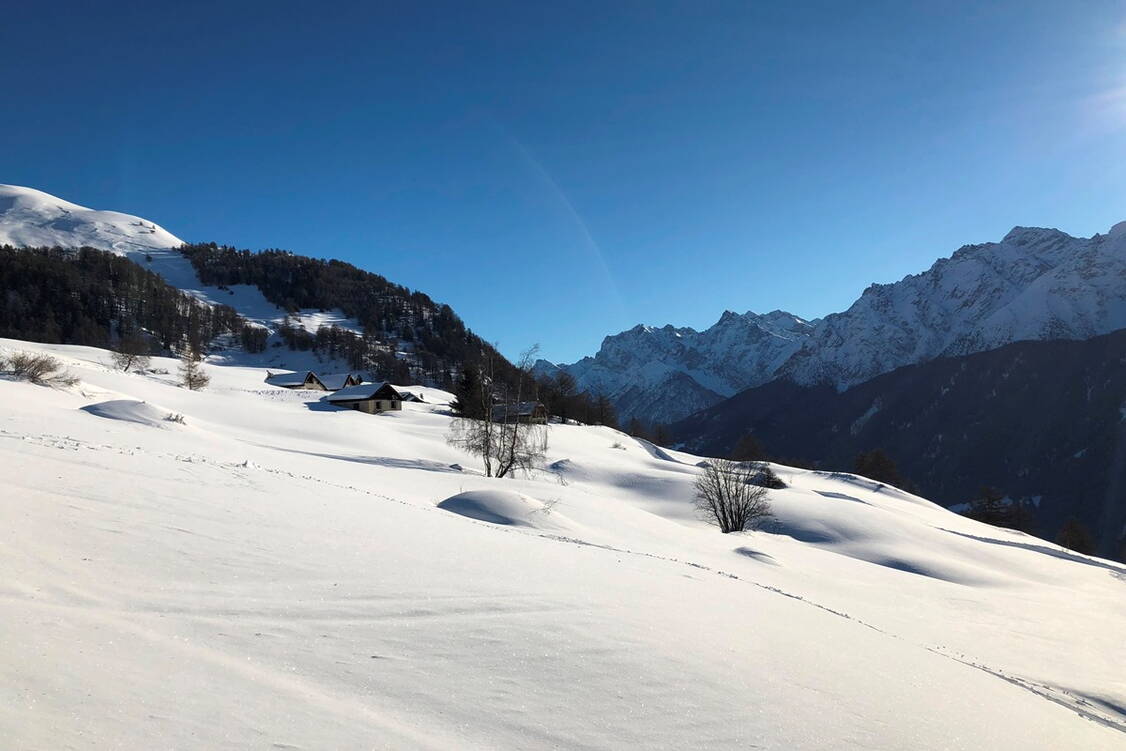 Zoom: Schneeschuhtouren Unterengadin