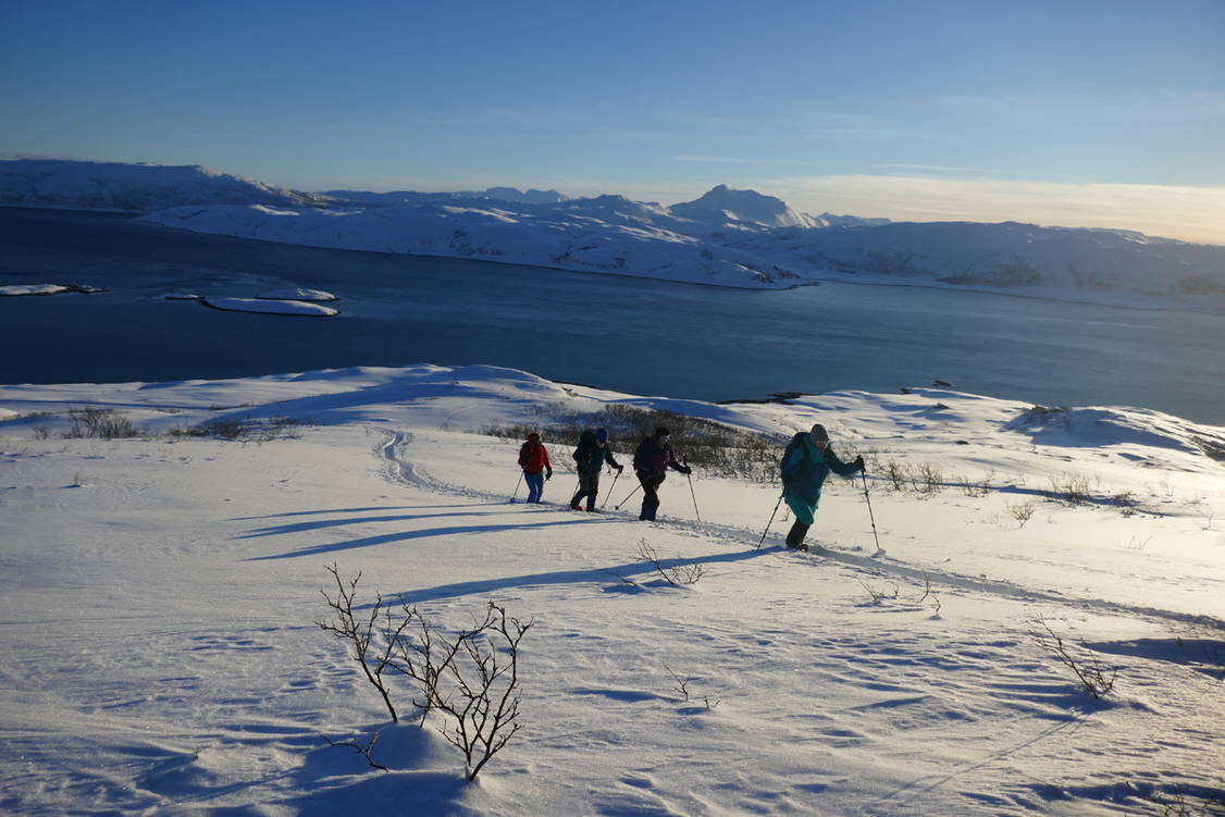 Zoom: Schneeschuhtouren Tromsö