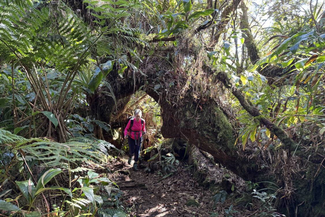Zoom: Wanderreise La Réunion