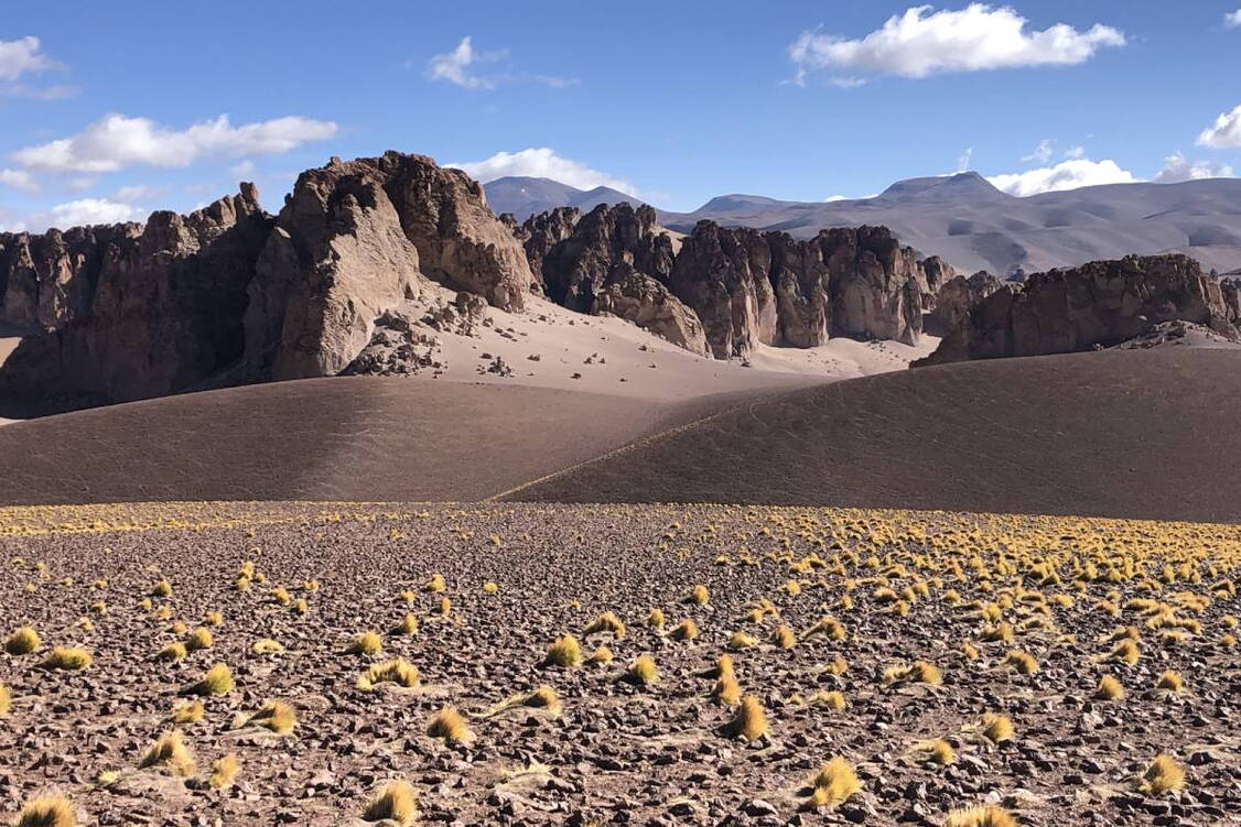 Zoom: Wander- und Erlebnisreise Nord-Argentinien