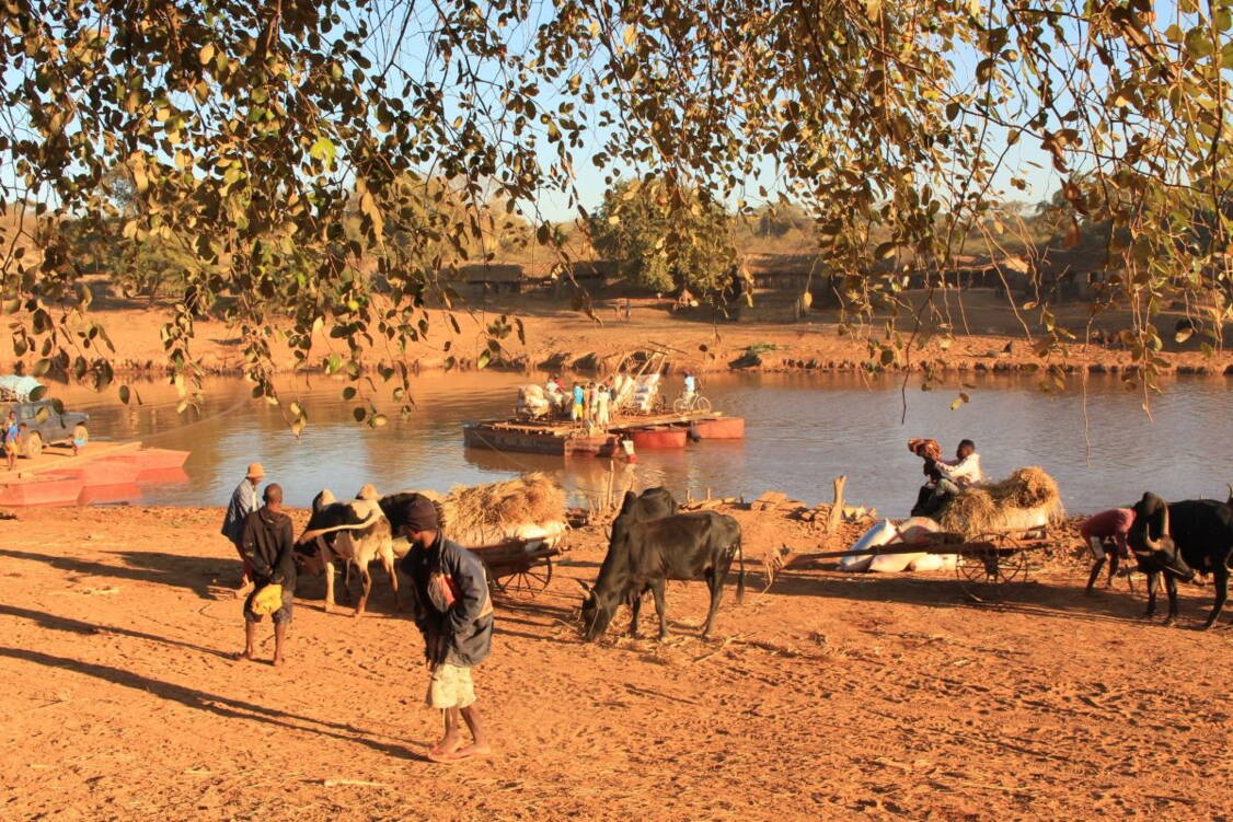 Zoom: Wanderreise Madagaskar