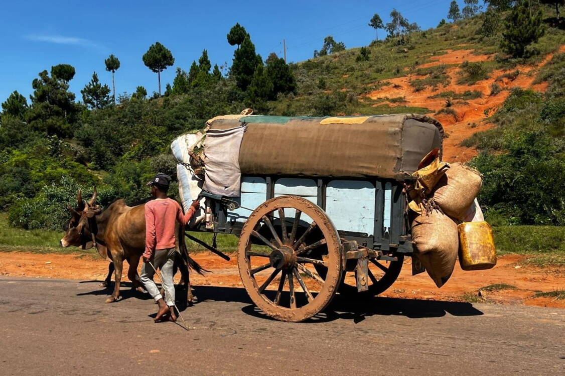 Zoom: Wanderreise Madagaskar