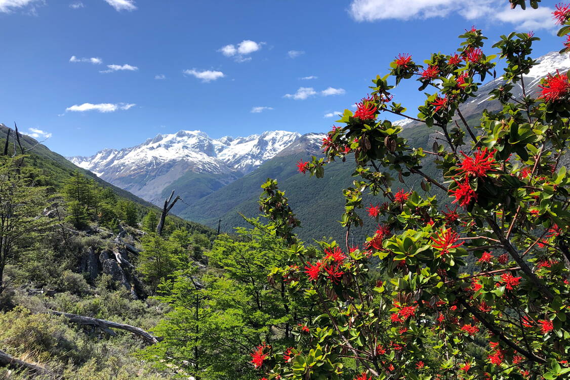 Zoom: Patagonien Wanderreise