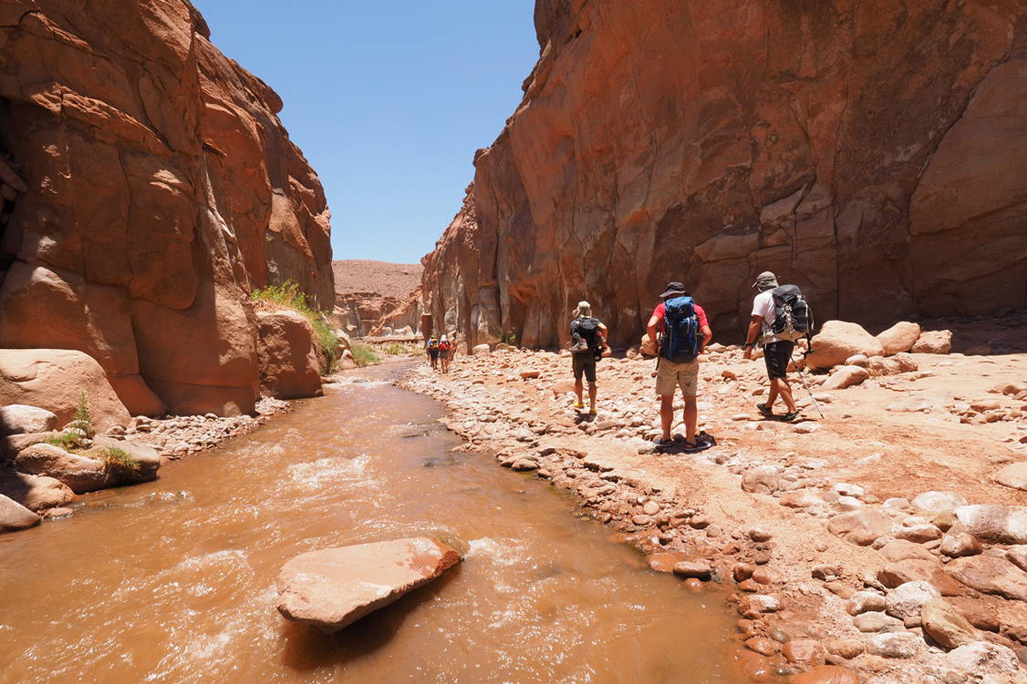 Zoom: Chile Bolivien Trekking