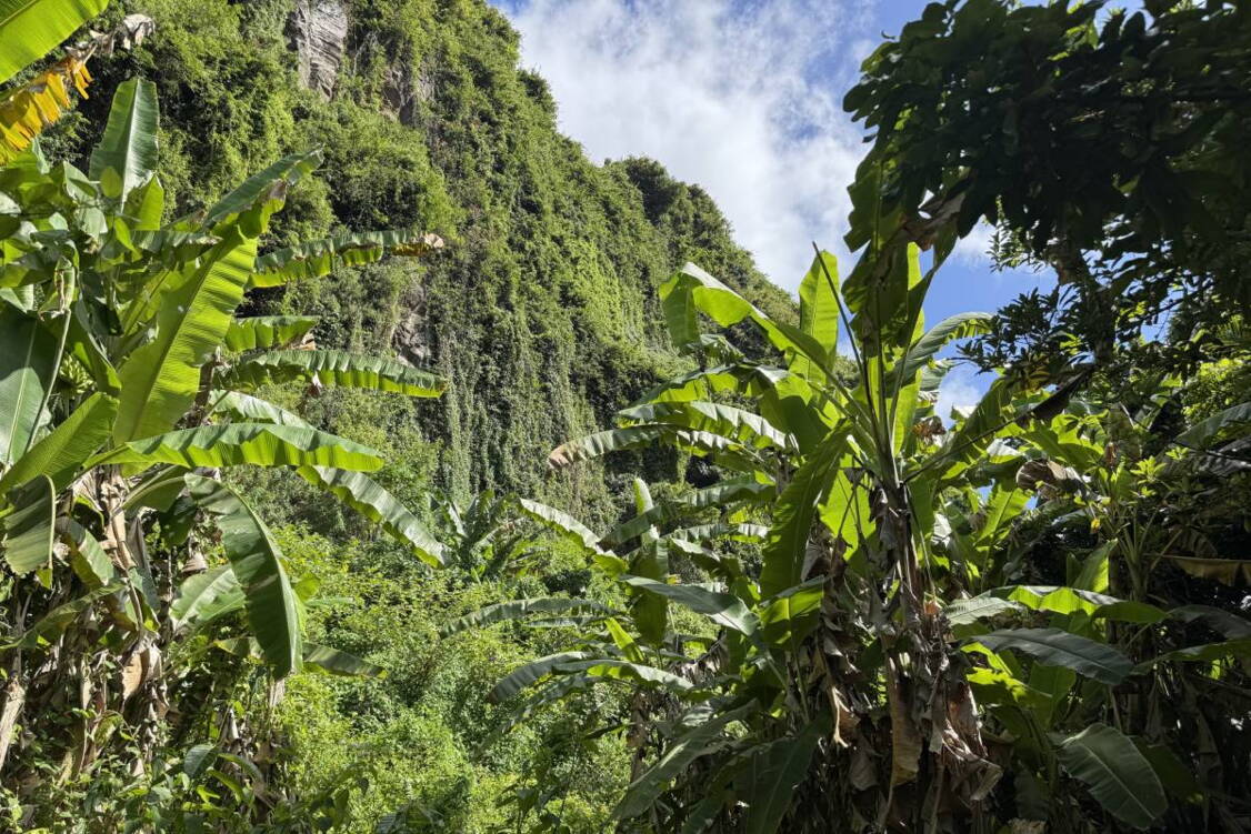 Zoom: Wanderreise La Réunion