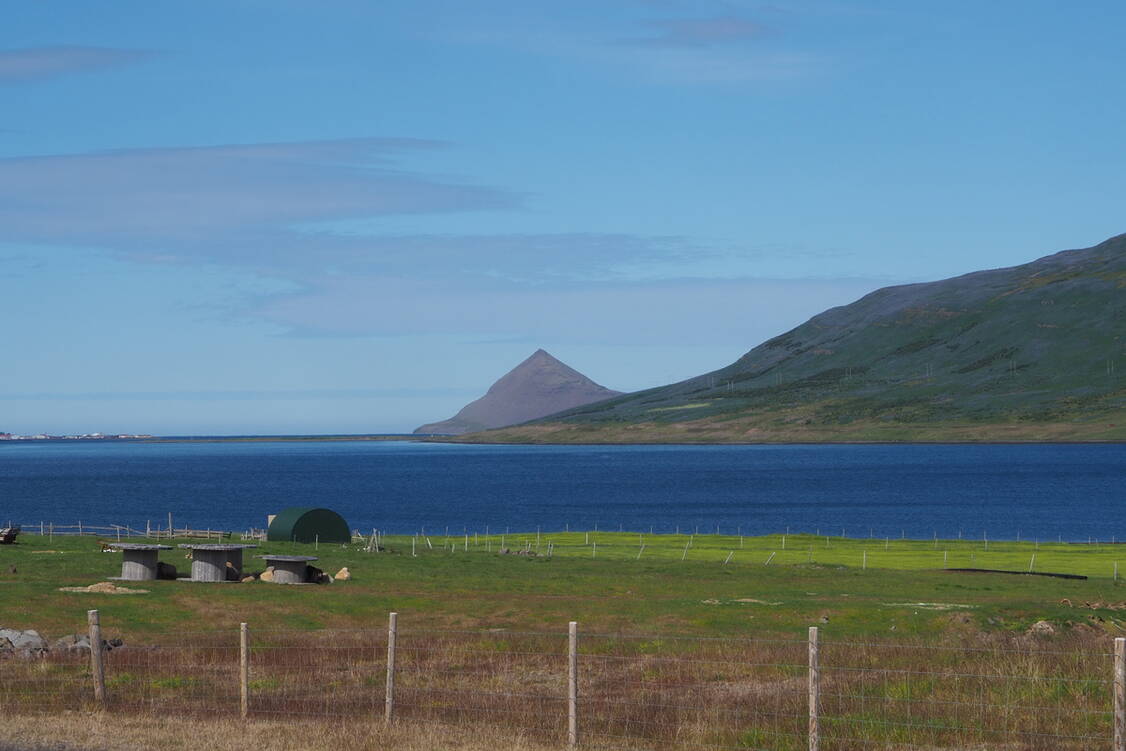 Zoom: Island Wanderreise Westfjorde