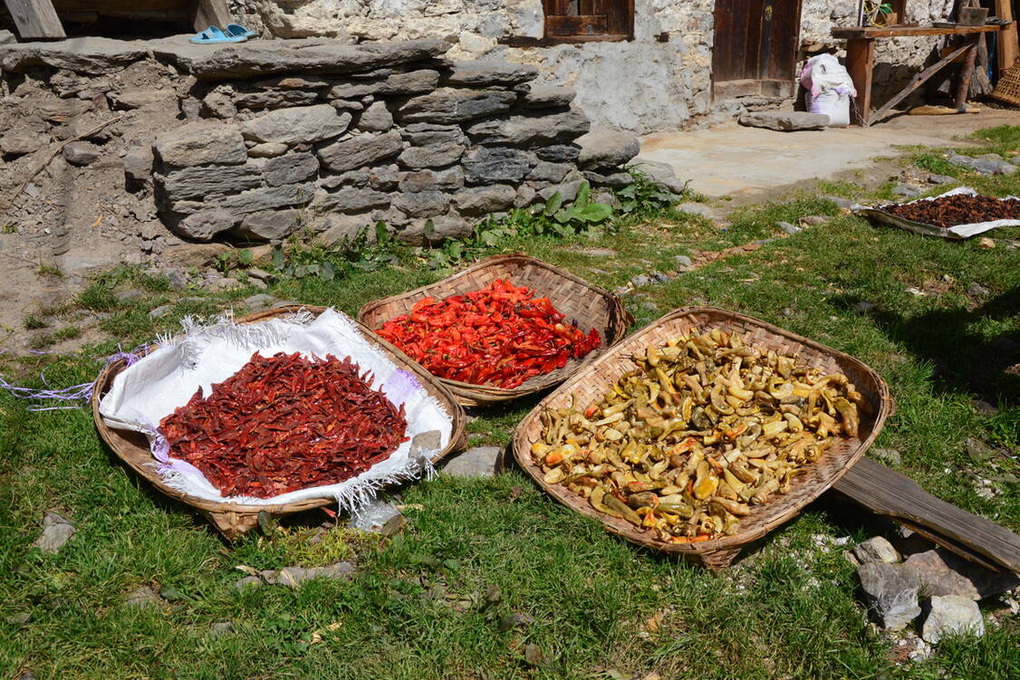 Zoom: Trekkingreise Bhutan