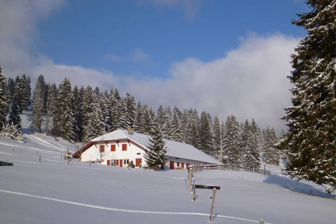 Zoom: Schneeschuhtouren Balcon du Jura