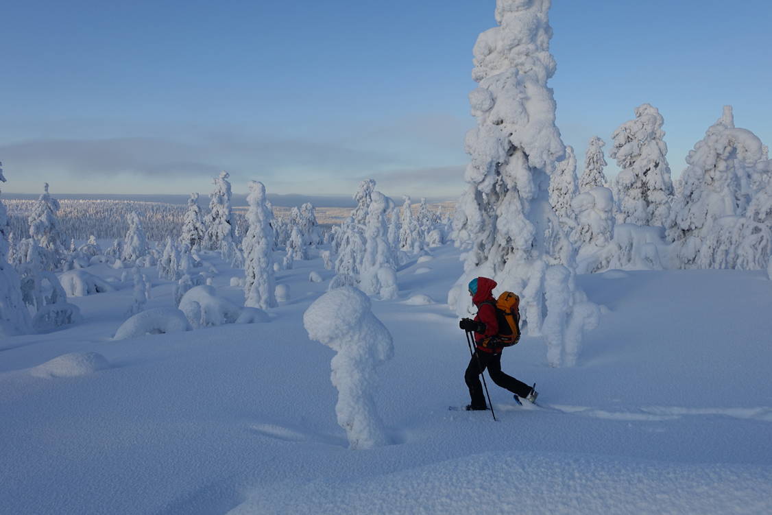 Zoom: Schneeschuhtouren Finnisch Lappland Pallas Tunturi Nationalpark