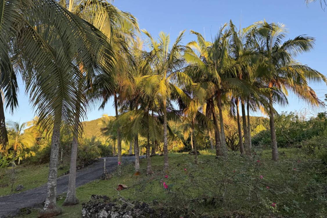 Zoom: Wanderreise La Réunion
