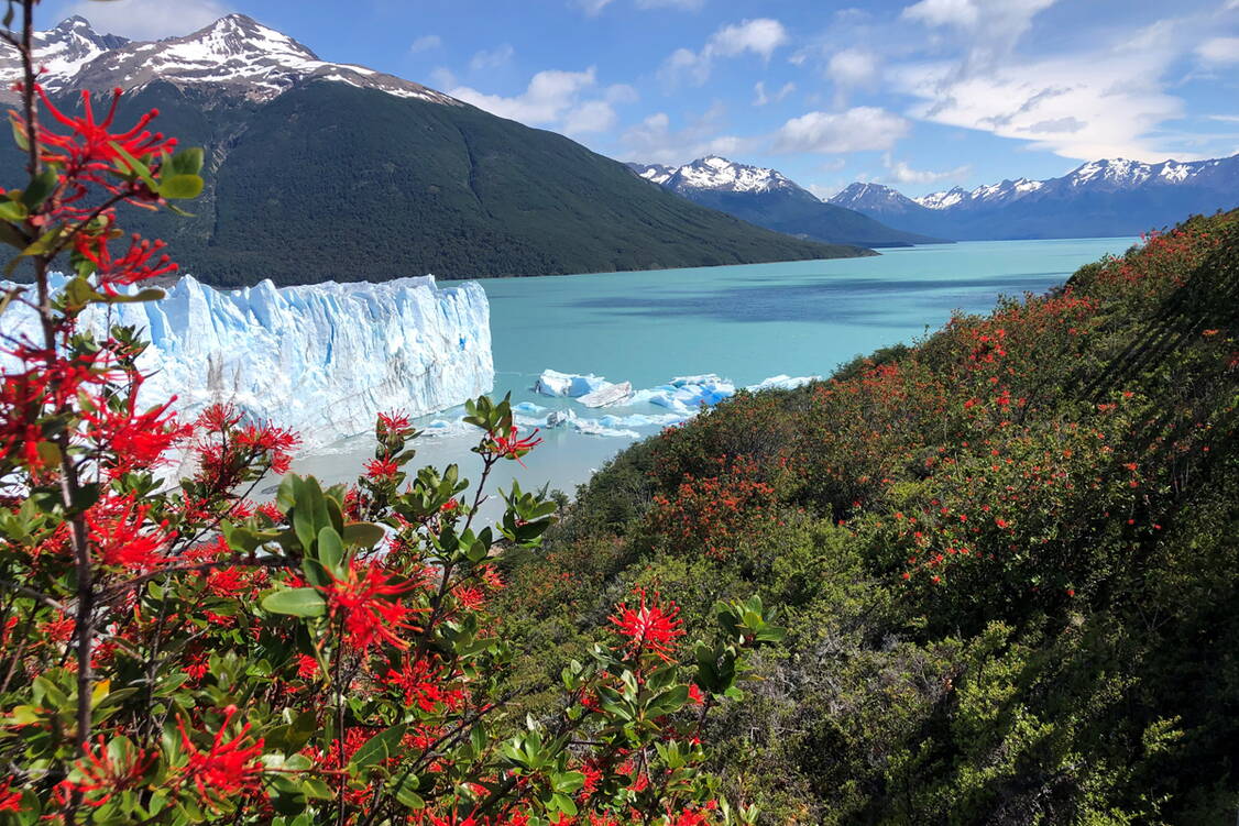 Zoom: Patagonien Wanderreise