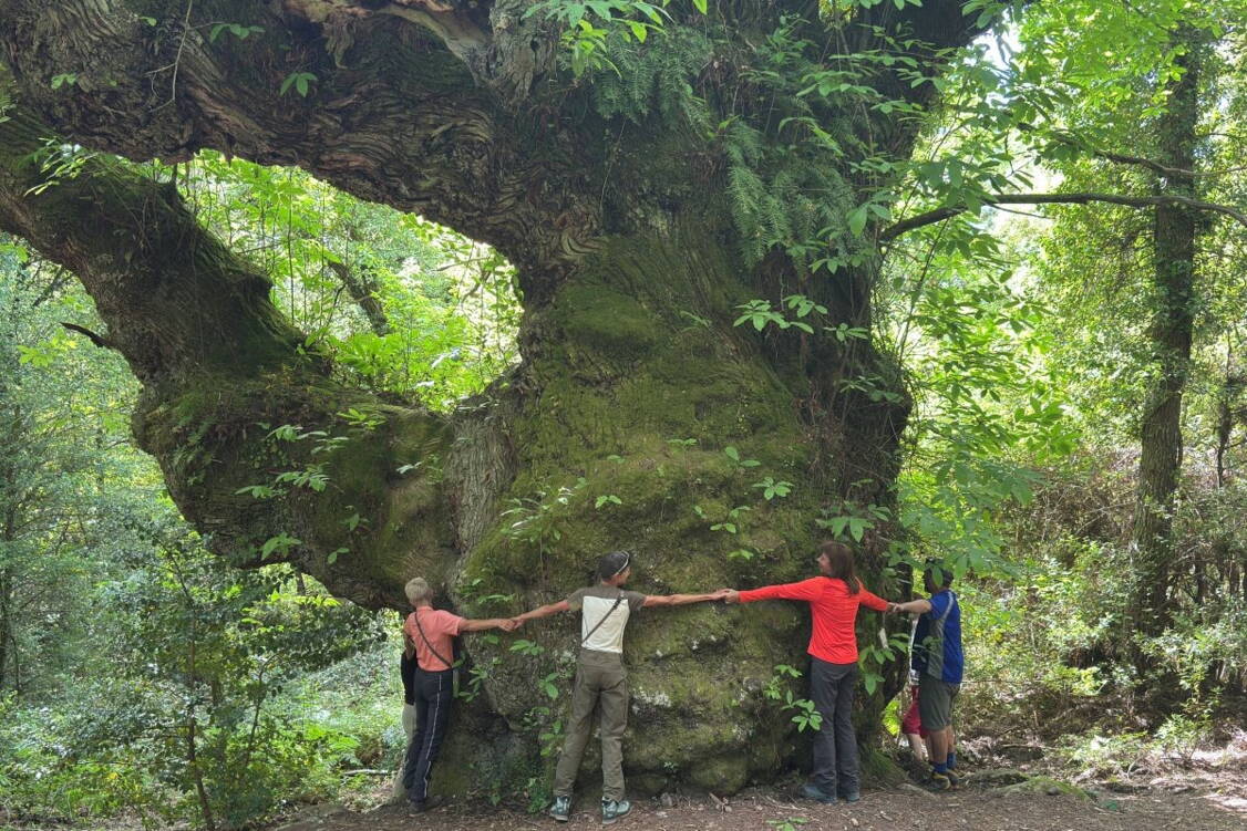Zoom: Korsika Wanderreise anspruchsvolle Touren