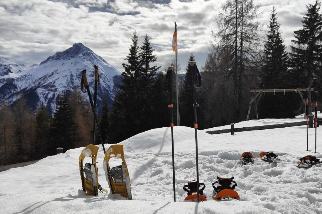 Zoom: Schneeschuhtouren Unterengadin