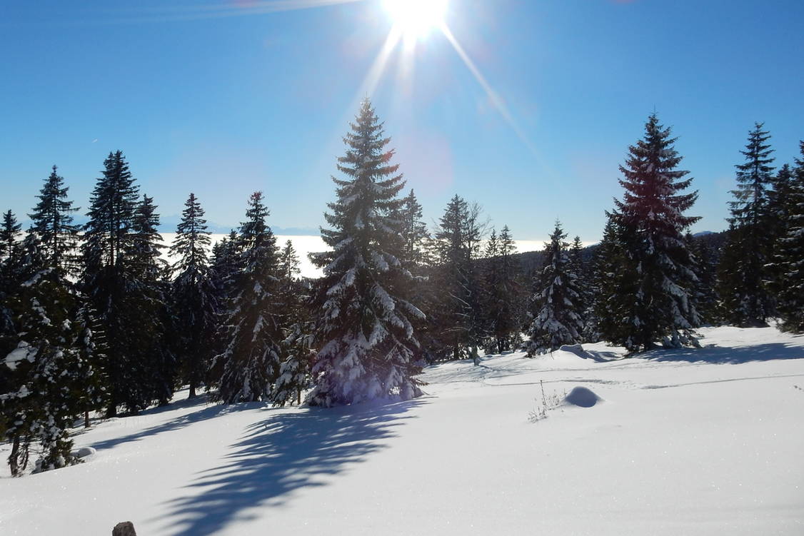 Zoom: Schneeschuhtouren Balcon du Jura