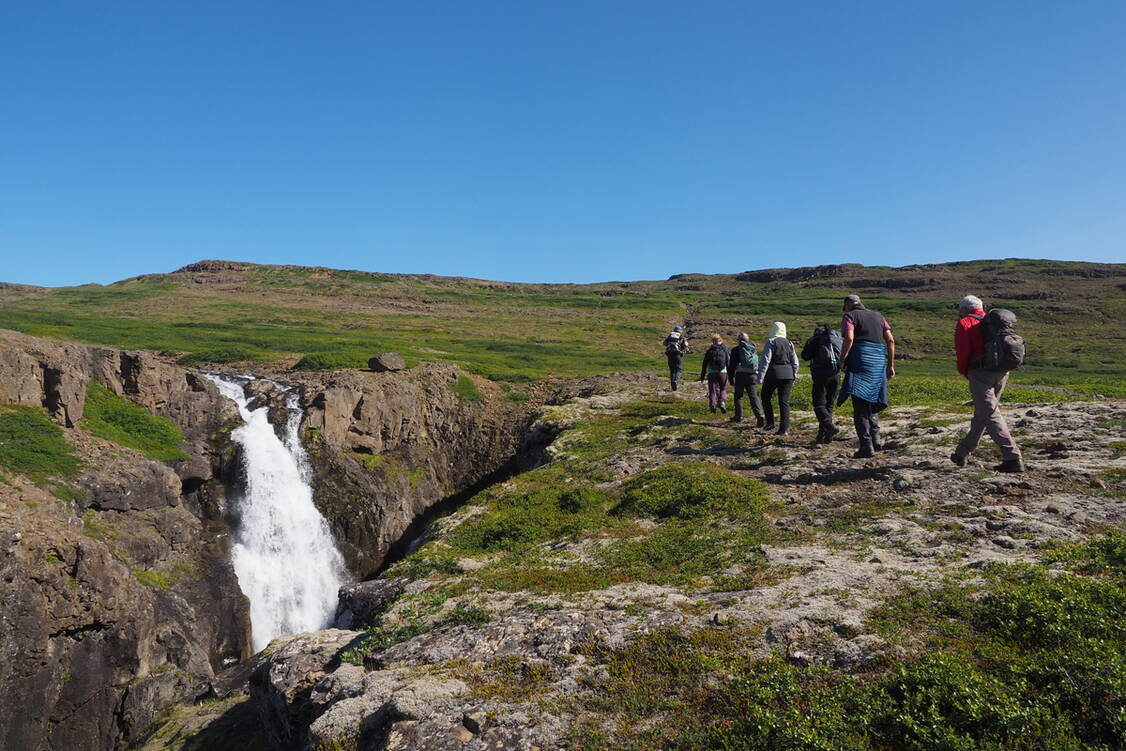 Zoom: Island Wanderreise Westfjorde