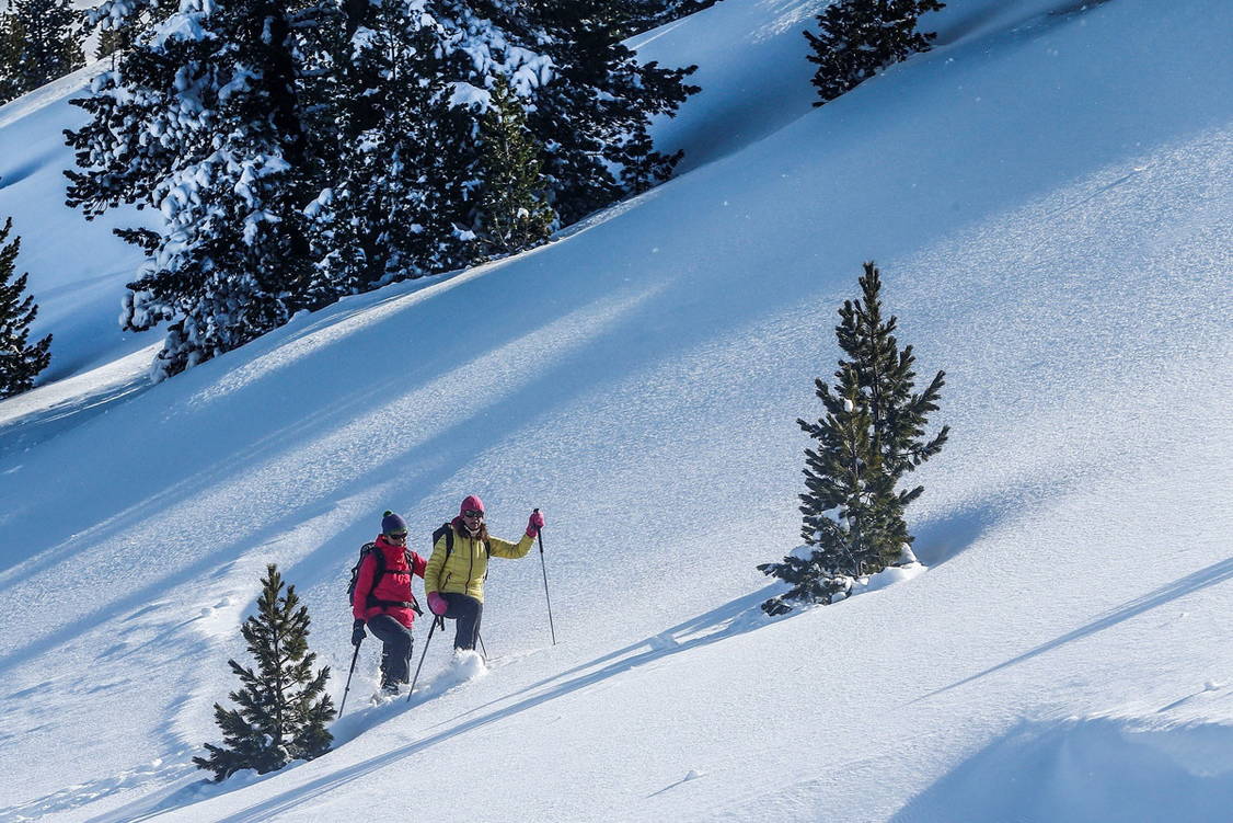 Zoom: Schneeschuhtouren Tirol