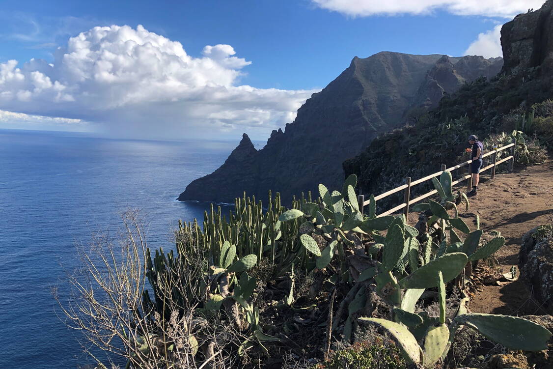 Zoom: Wanderreise Teneriffa