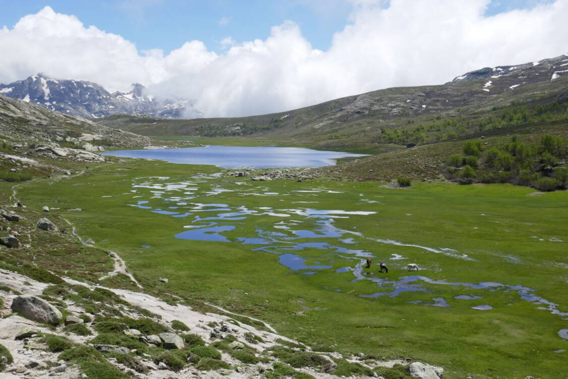 Zoom: Korsika Wanderreise anspruchsvolle Touren