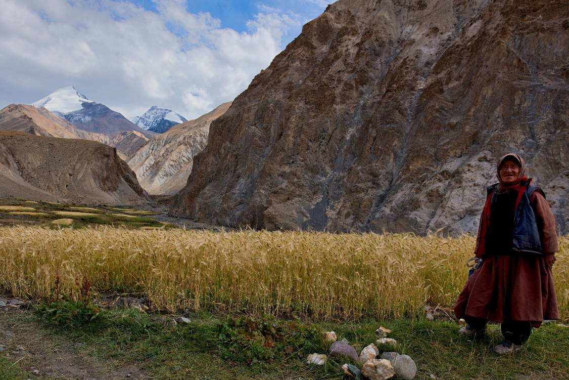 Zoom: Ladakh Trekkingreise mit Besteigung Dzo Jongo und Mentok Kangri
