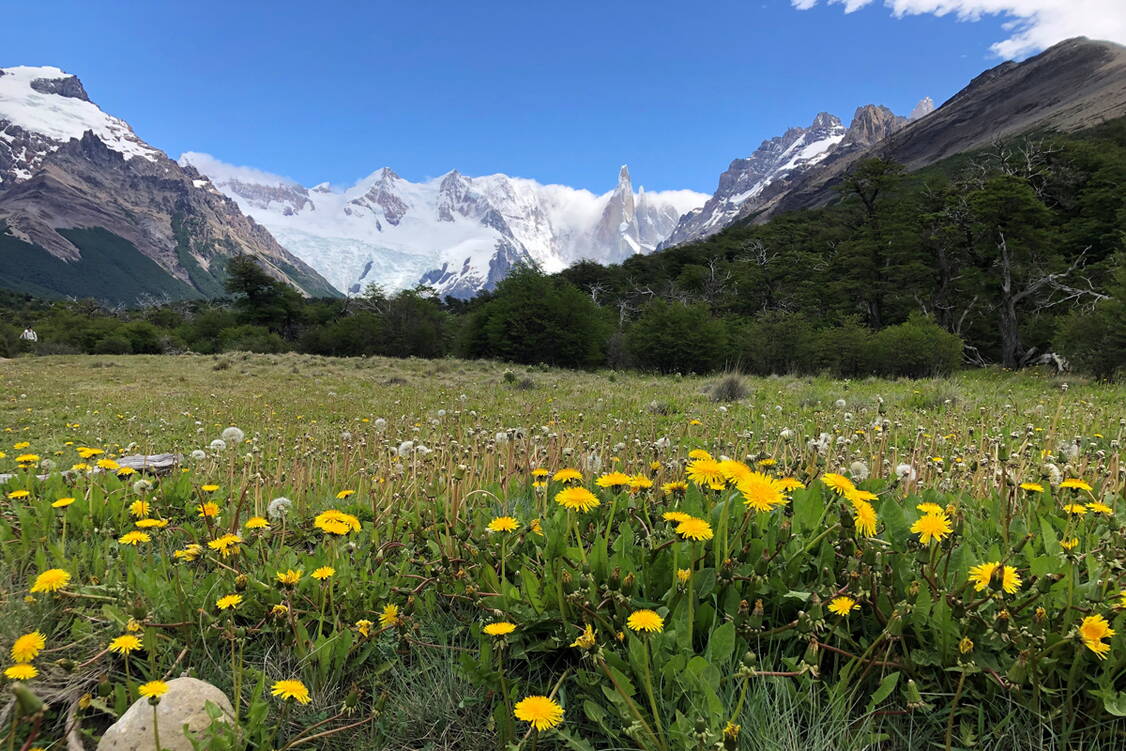 Zoom: Patagonien Wanderreise