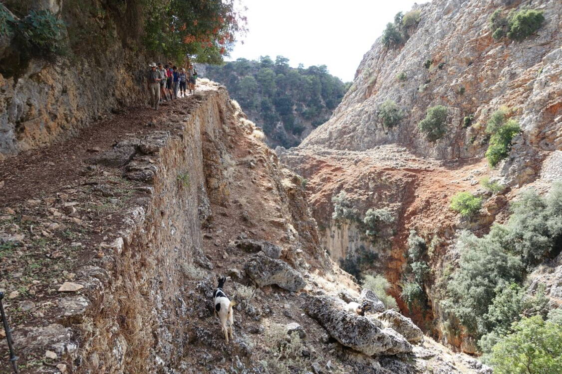 Zoom: Wanderreise Kreta Lefka Ori - zu den weissen Bergen